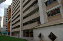 Blk 214 Petir Road (Bukit Panjang), HDB 4 Rooms #219052